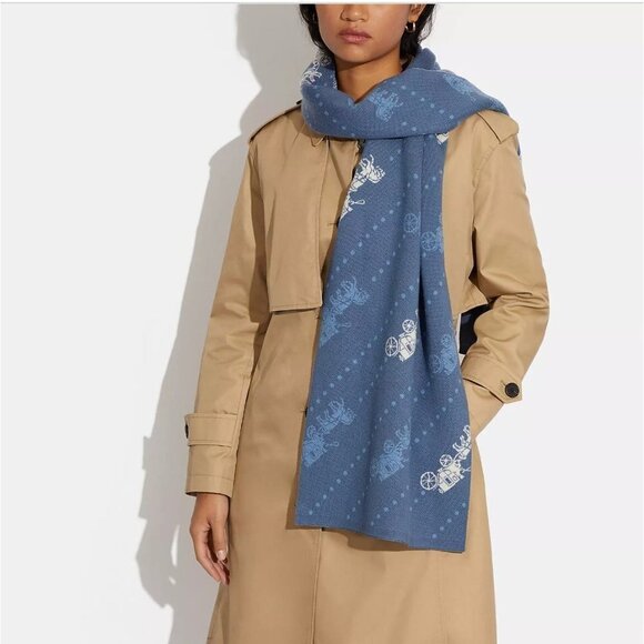 Horse And Carriage Hat And Scarf Set in Denim NEW $243 - Picture 3 of 10